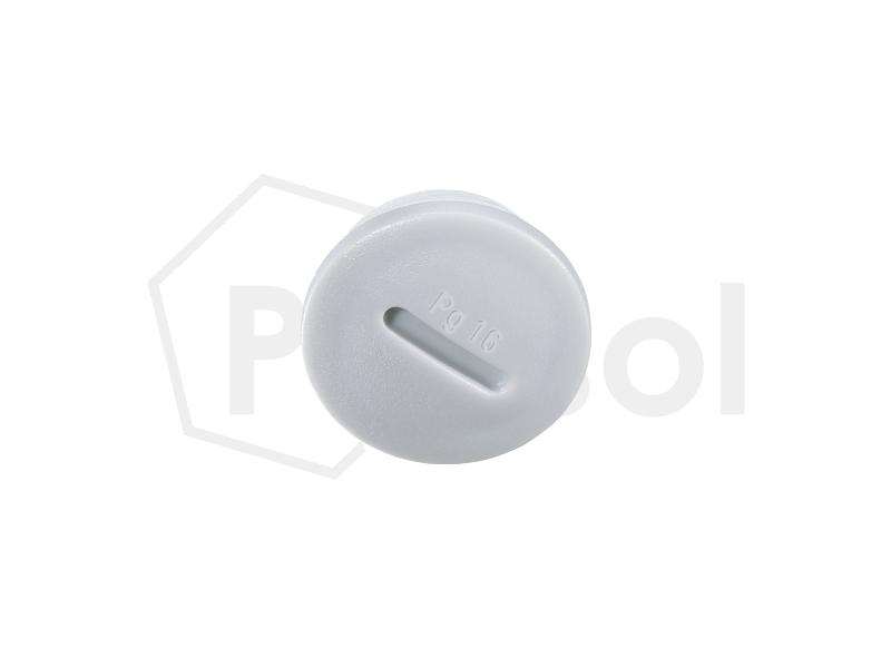 Tapón roscado para paneles eléctricos Tipo 4